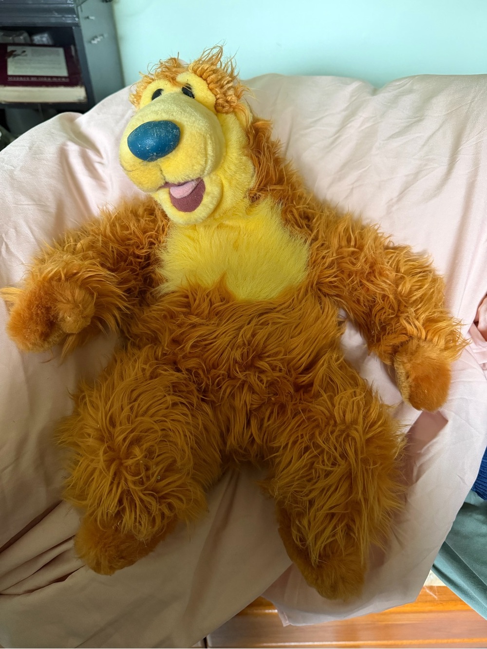 Bear in the Big Blue House